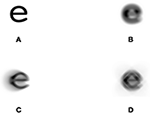www.frontiersin.org