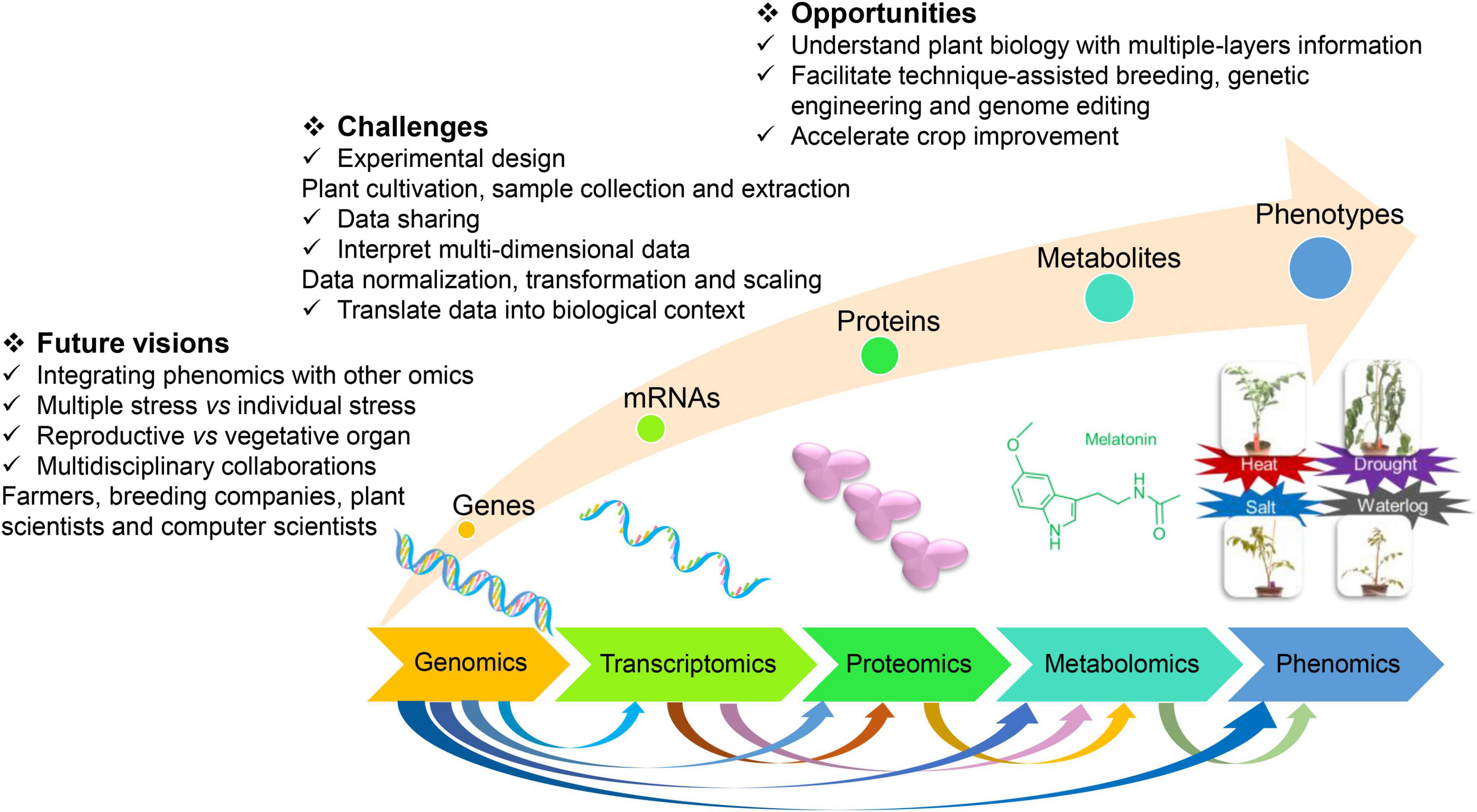 Frontiers  Breeding for Climate Change Resilience: A Case Study