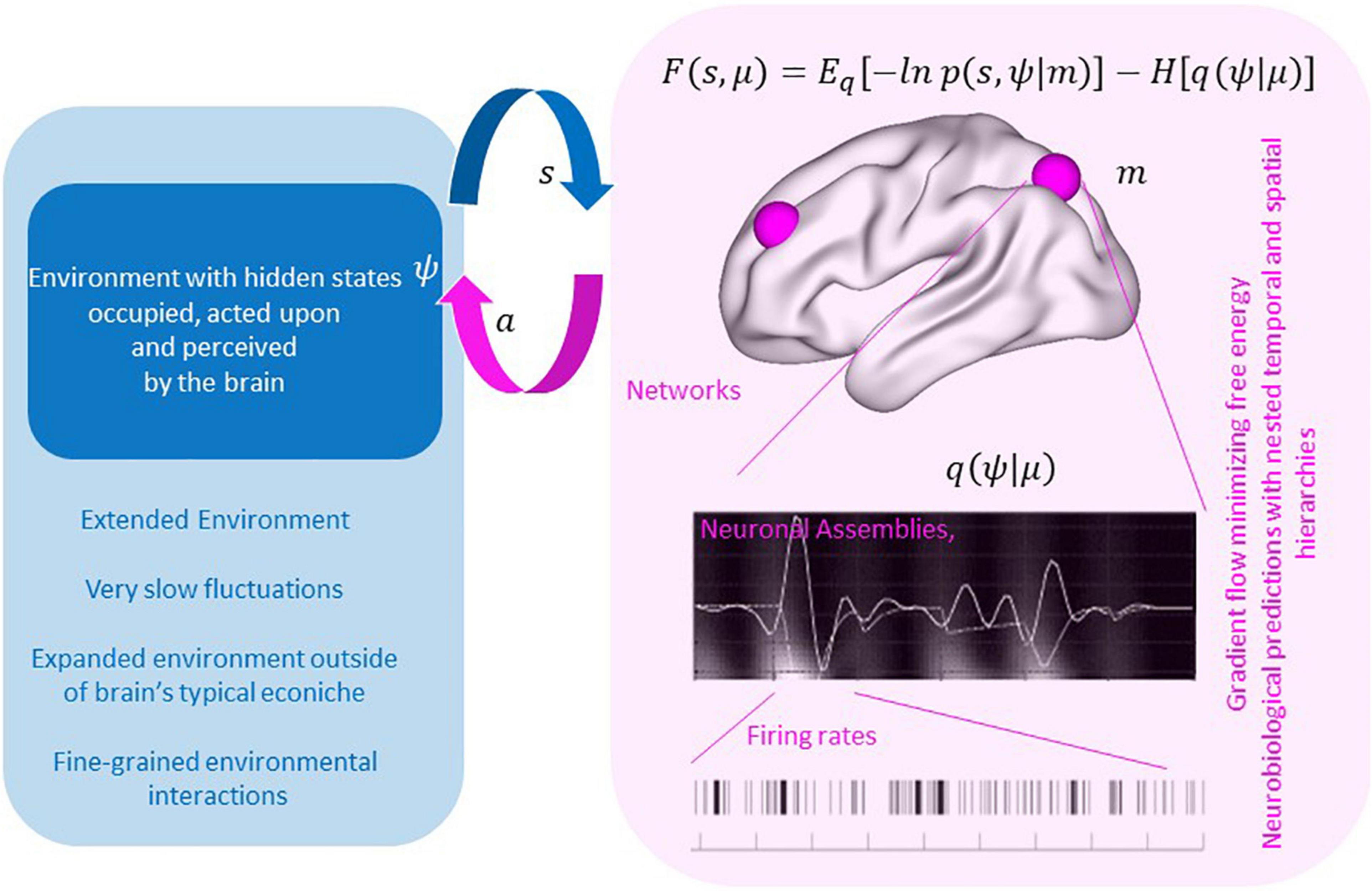 Integrated Intelligence from Distributed Brain Activity: Trends in  Cognitive Sciences