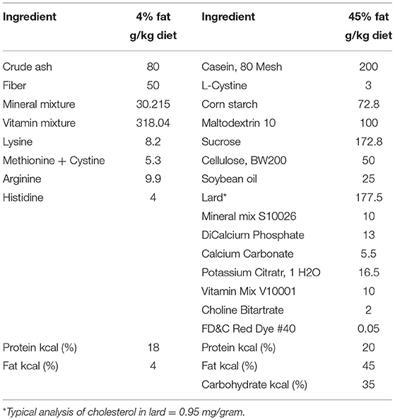 Frontiers | Linking Mitochondrial Function to Insulin Resistance: on Comparing the Old and the