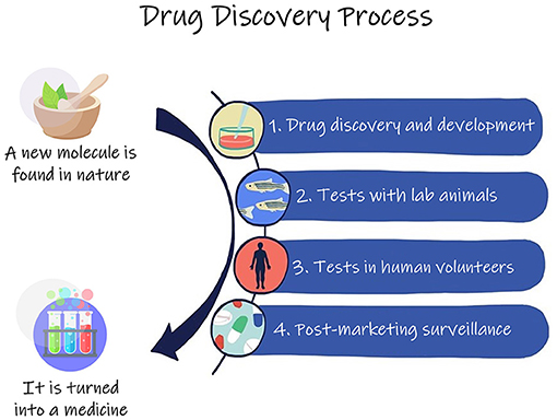Figure 2 - To develop a new drug, scientists often find and isolate interesting molecules from nature.