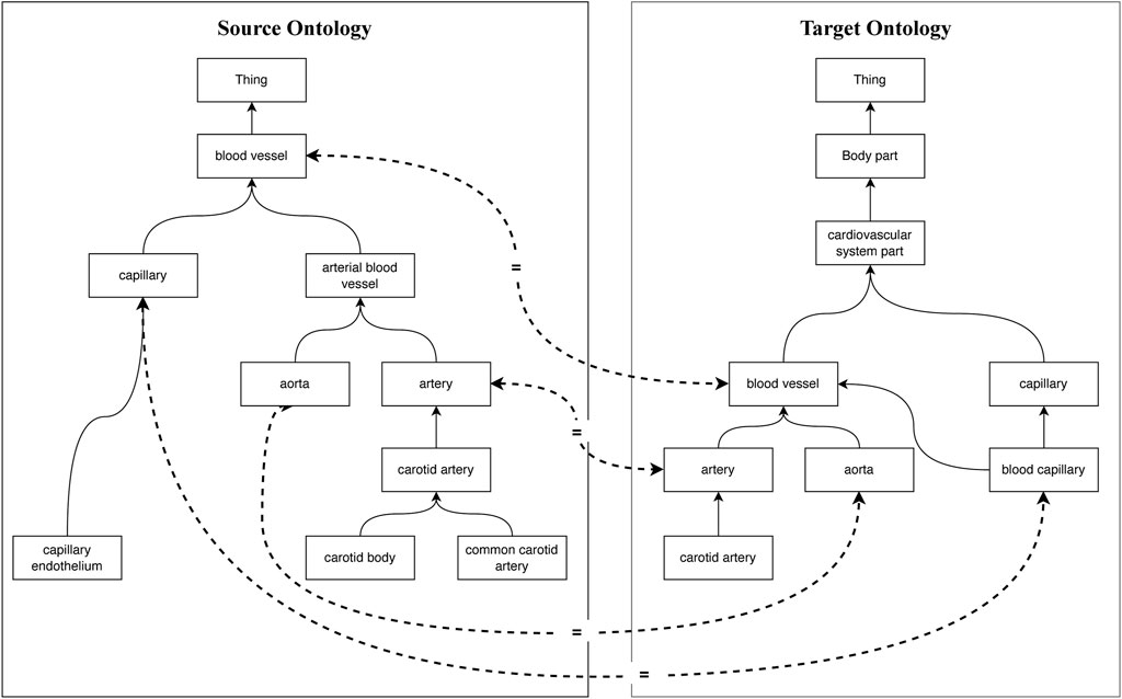 PDF] Leveraging Lexical Matching and Ontological Alignment to Map