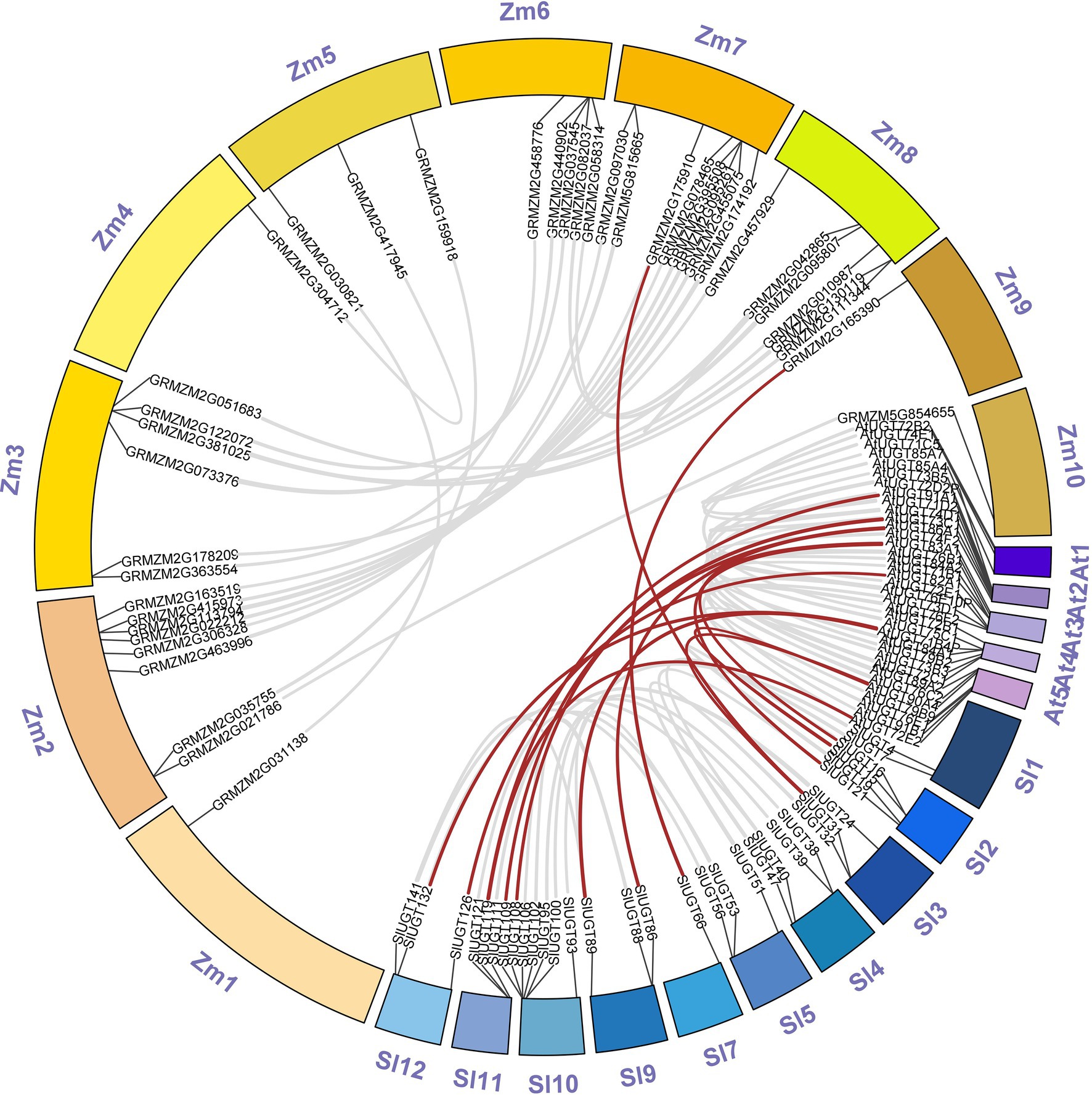 Frontiers | Glutathione Promotes Degradation and Metabolism of Residual ...