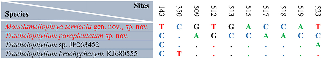www.frontiersin.org