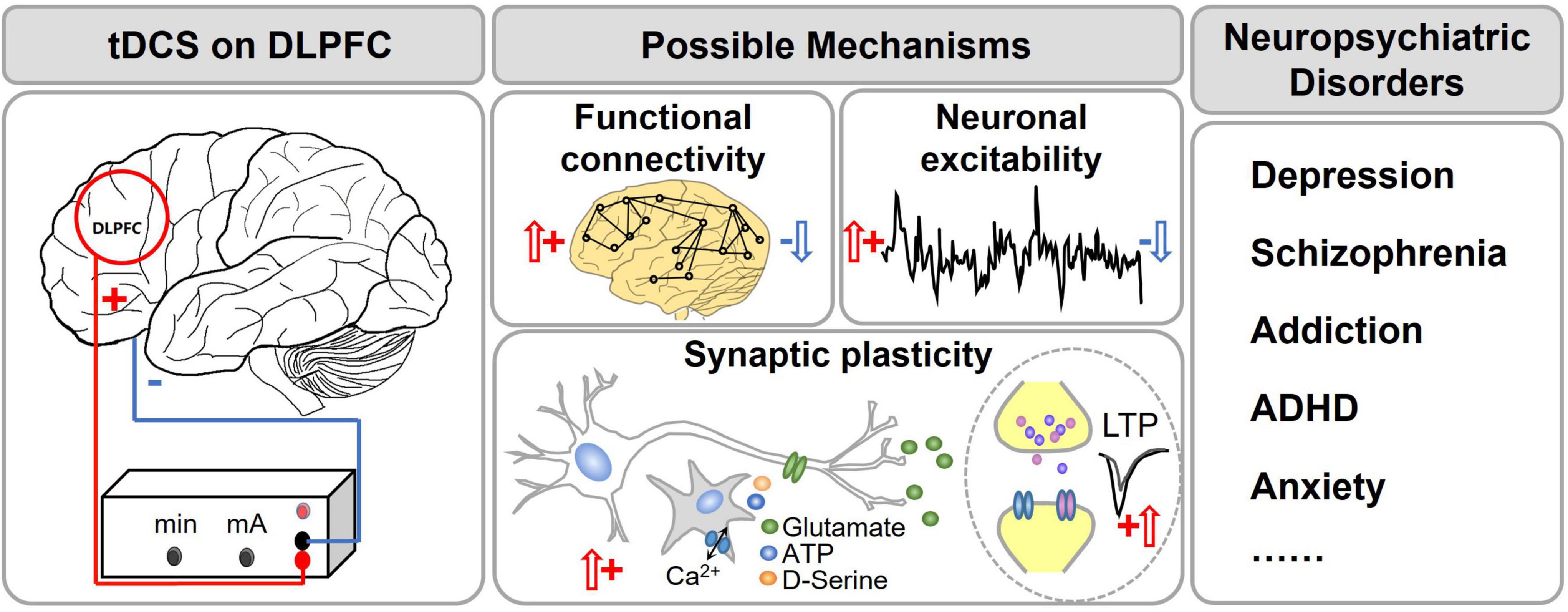 dorsolateral prefrontal cortex tdcs