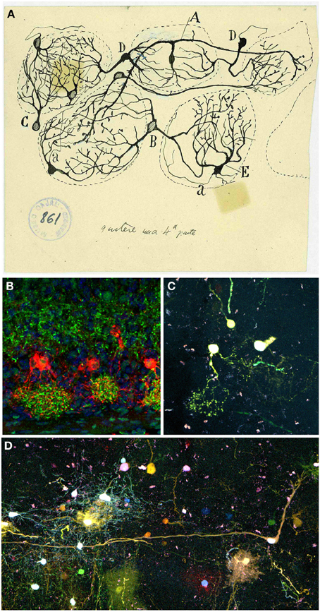 wärmeübertragung physikalische grundlagen illustrierende beispiele ãbungsaufgaben mit musterlösungen