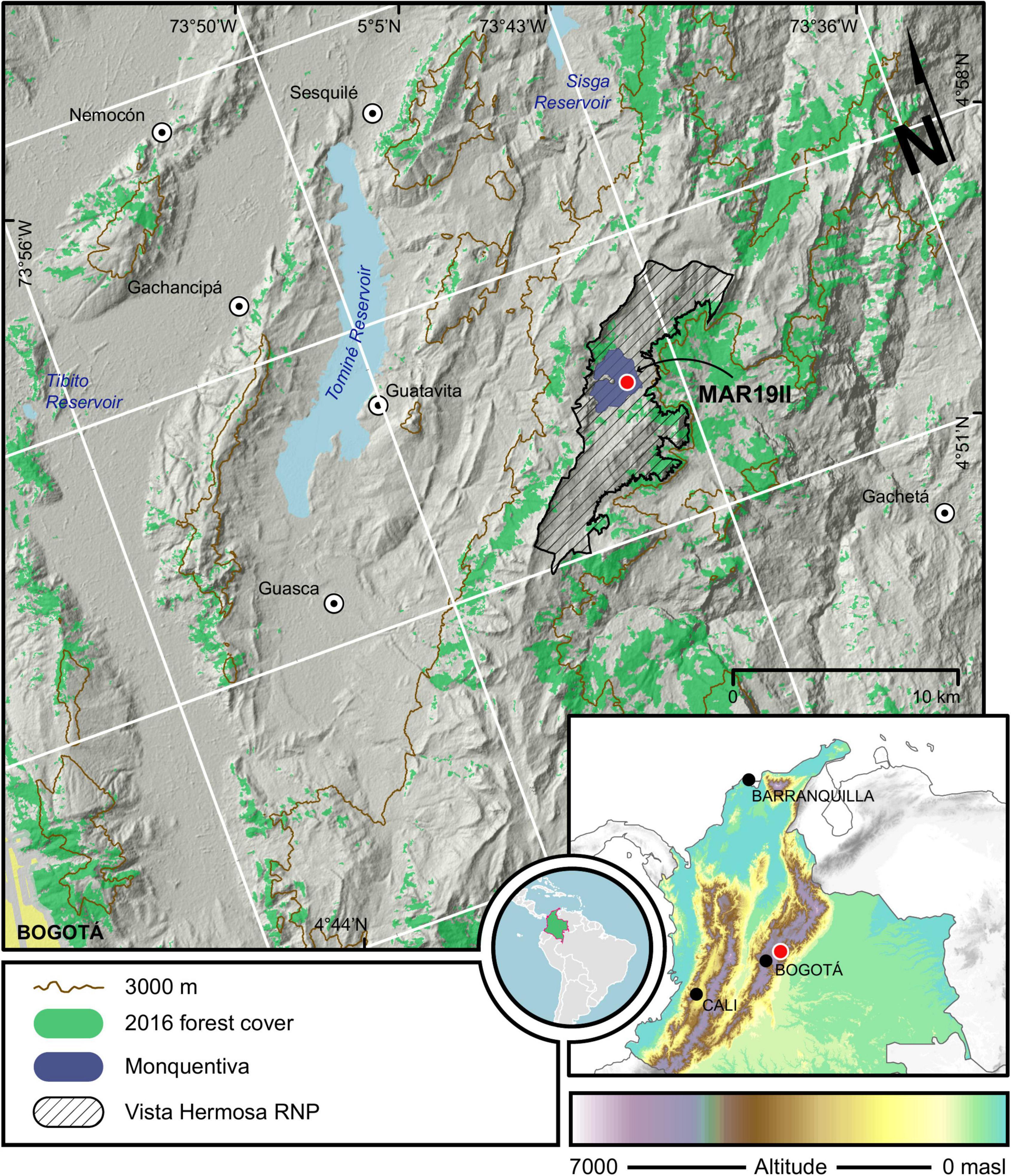 Frontiers Holocene Fires And Ecological Novelty In The High Colombian Cordillera Oriental Ecology And Evolution