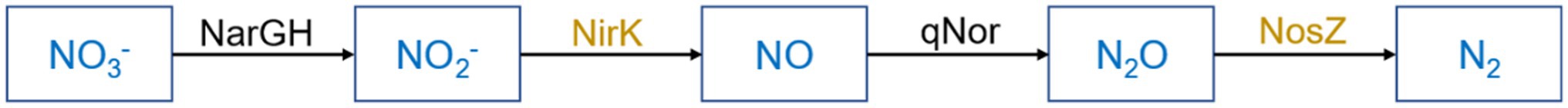 www.frontiersin.org