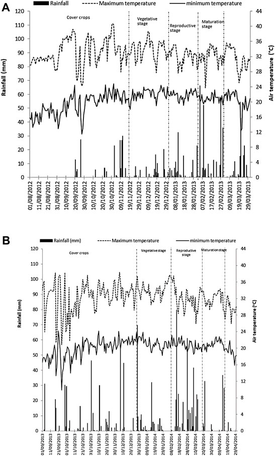 Frontiers  Cover Crops and Mechanical Scarification in the Yield and  Industrial Quality of Upland Rice