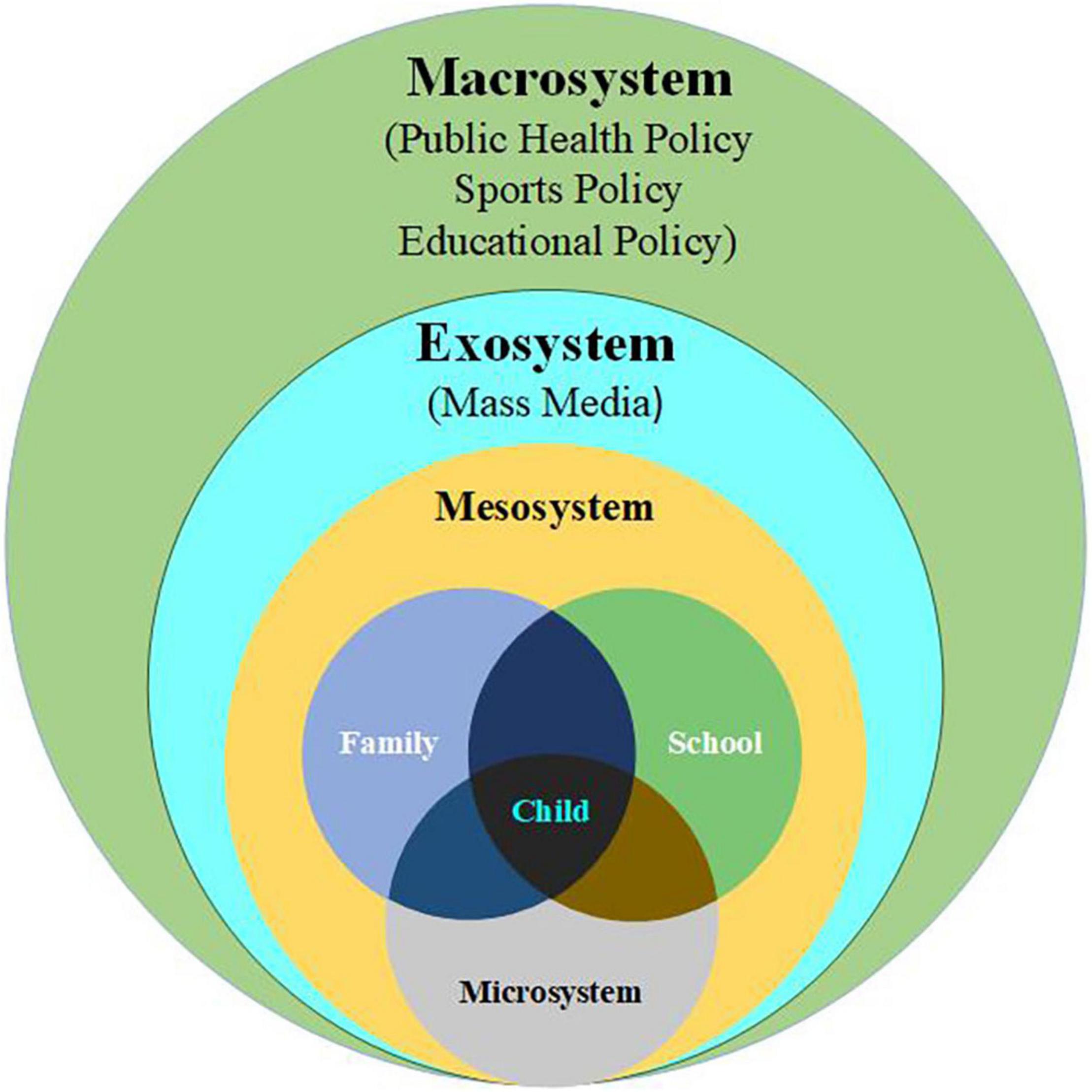 mesosystem psychology