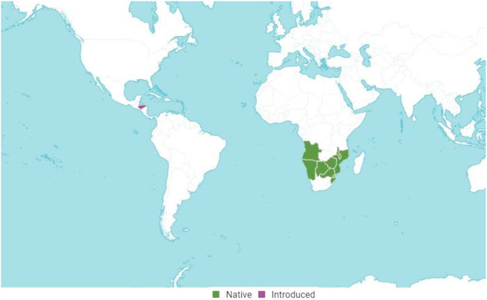 www.frontiersin.org