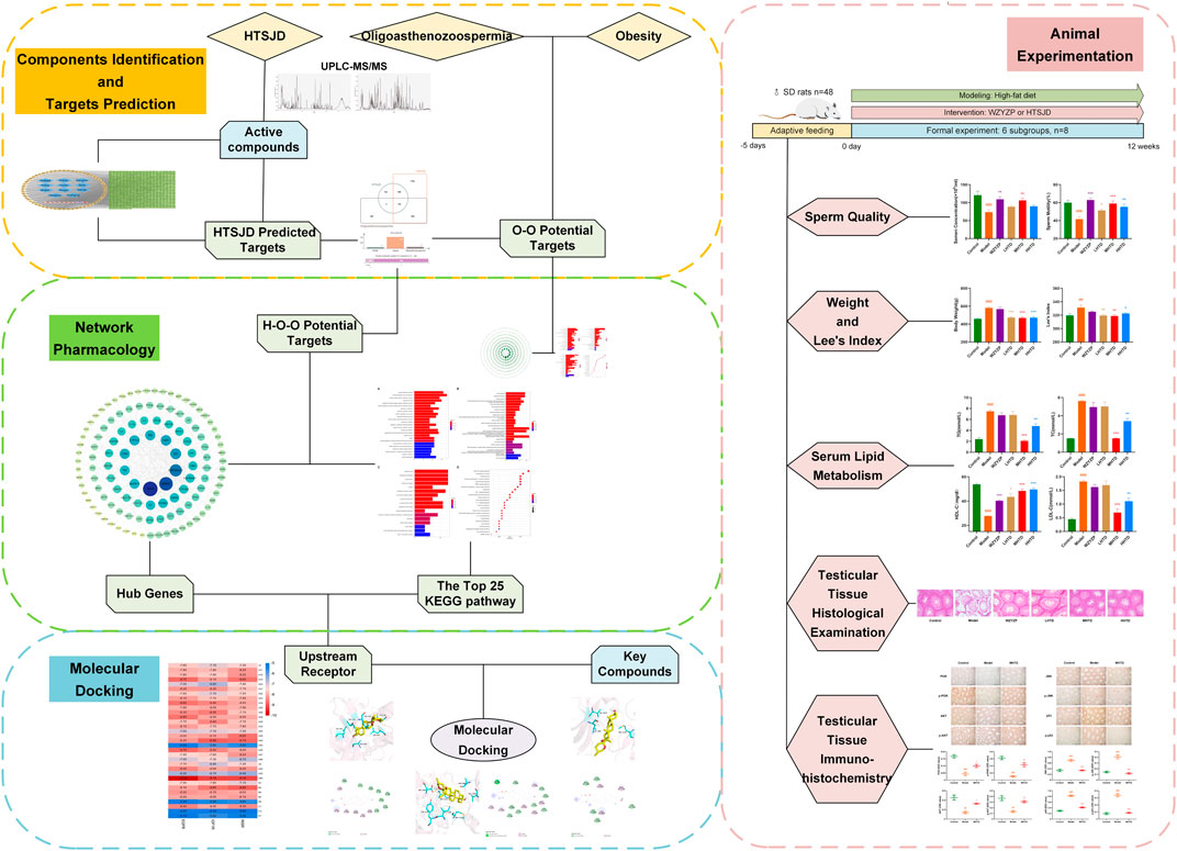 sake have fun Fellow Frontiers | Hua-Tan-Sheng-Jing Decoction Treats Obesity With Oligoasthenozoospermia by Up-Regulating the PI3K-AKT and Down-Regulating the JNK MAPK Signaling Pathways: At the Crossroad of Obesity and Oligoasthenozoospermia sake have fun Fellow Frontiers | Hua-Tan-Sheng-Jing Decoction Treats Obesity With Oligoasthenozoospermia by Up-Regulating the PI3K-AKT and Down-Regulating the JNK MAPK Signaling Pathways: At the Crossroad of Obesity and Oligoasthenozoospermia