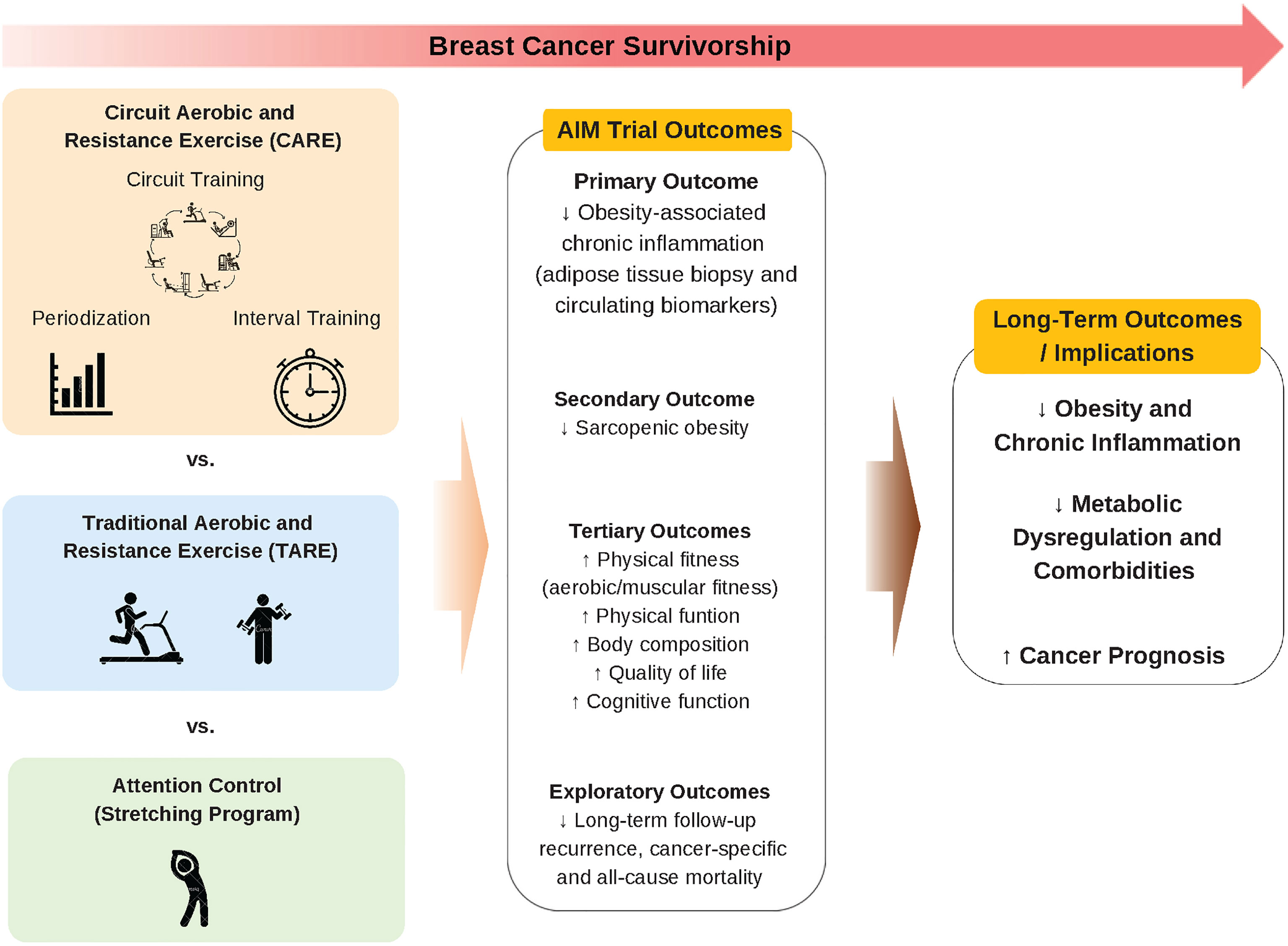 Cancer survivorship  Mass General Brigham