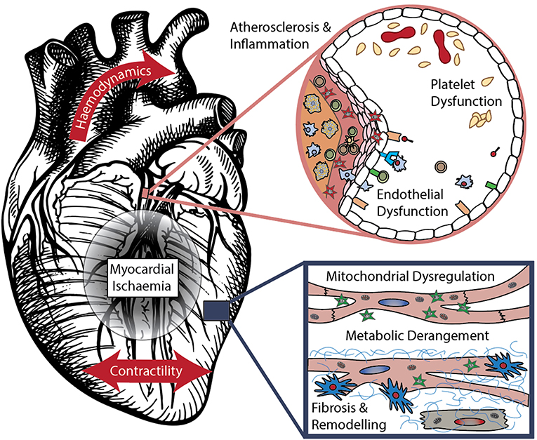 Mechanistic Biomarkers Informative of Both Cancer and