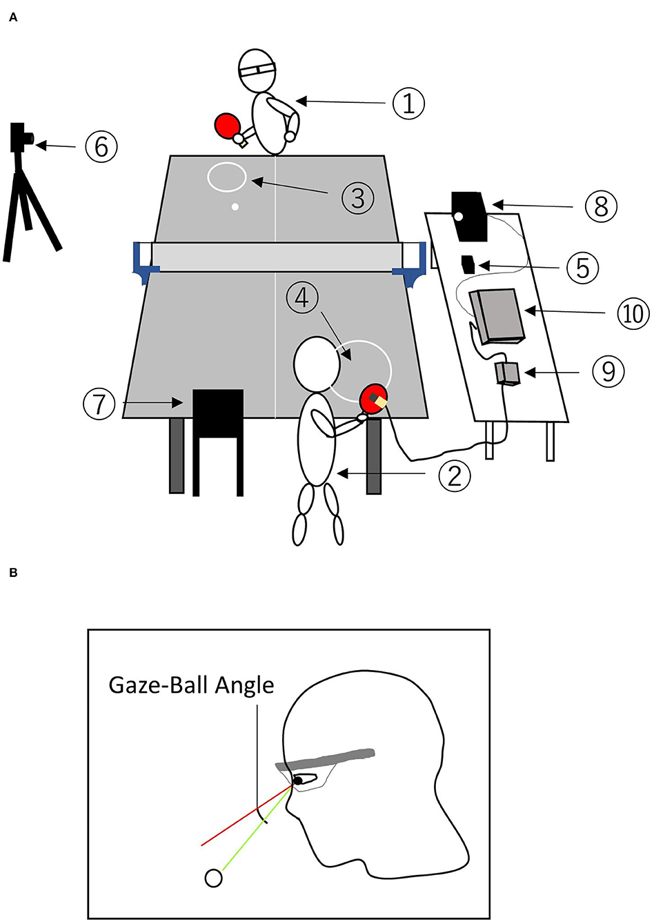 The Ethics Of Going To A Ping Pong Show - Tourism Teacher