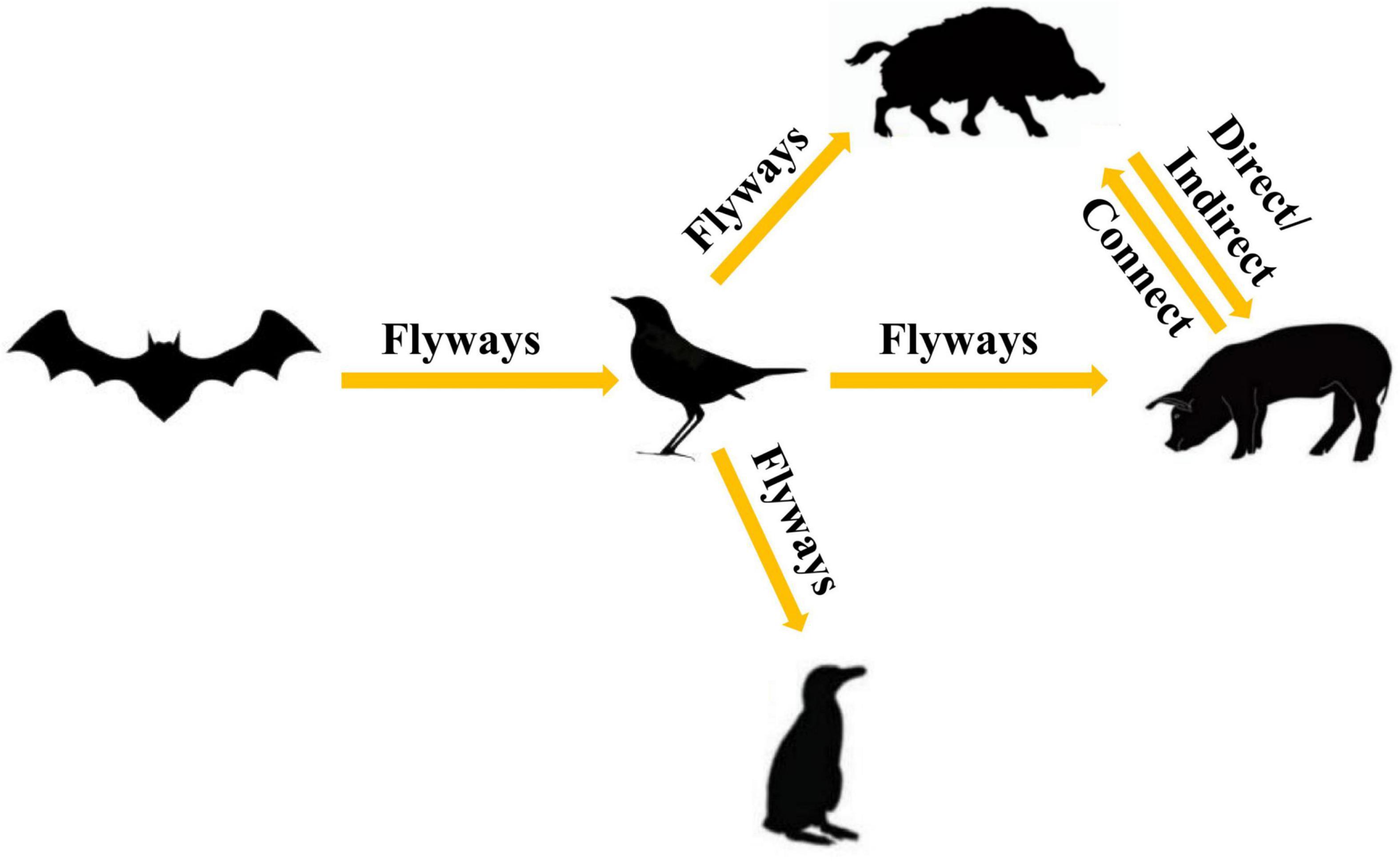 www.frontiersin.org