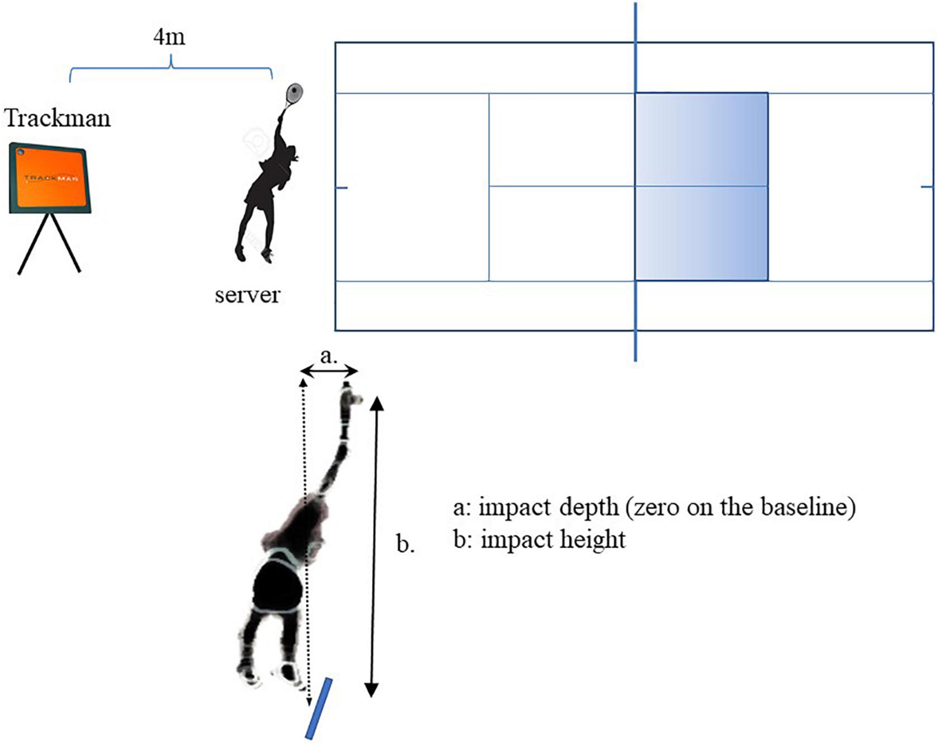 Frontiers  Prediction of Service Performance Based on Physical Strength in  Elite Junior Tennis Players