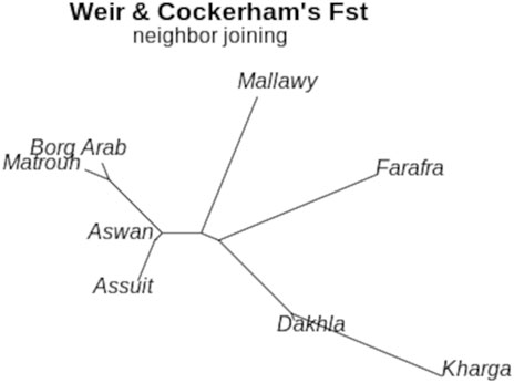 www.frontiersin.org