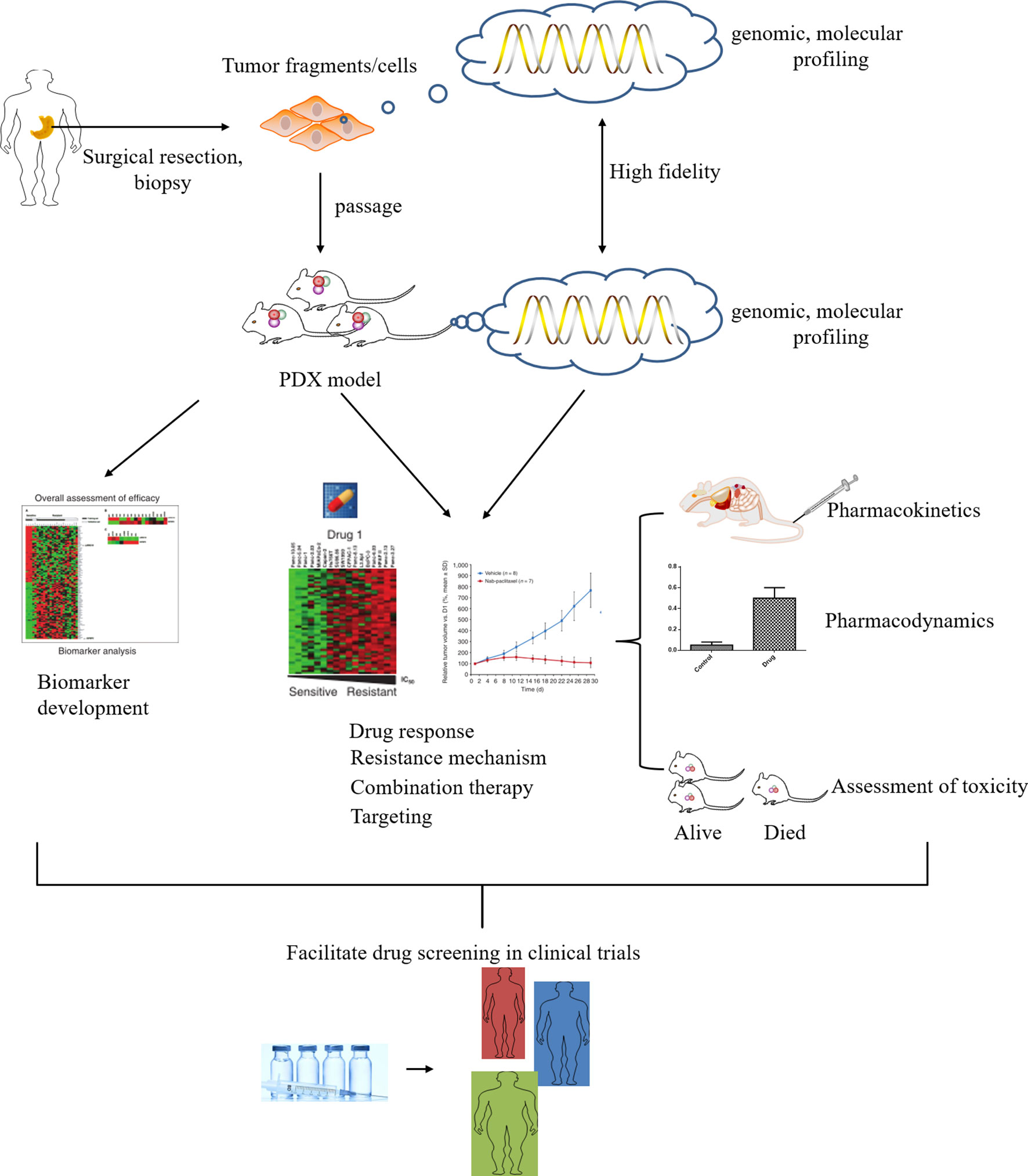 Progress of Gastric Cancer Surgery in the era of Precision Medicine