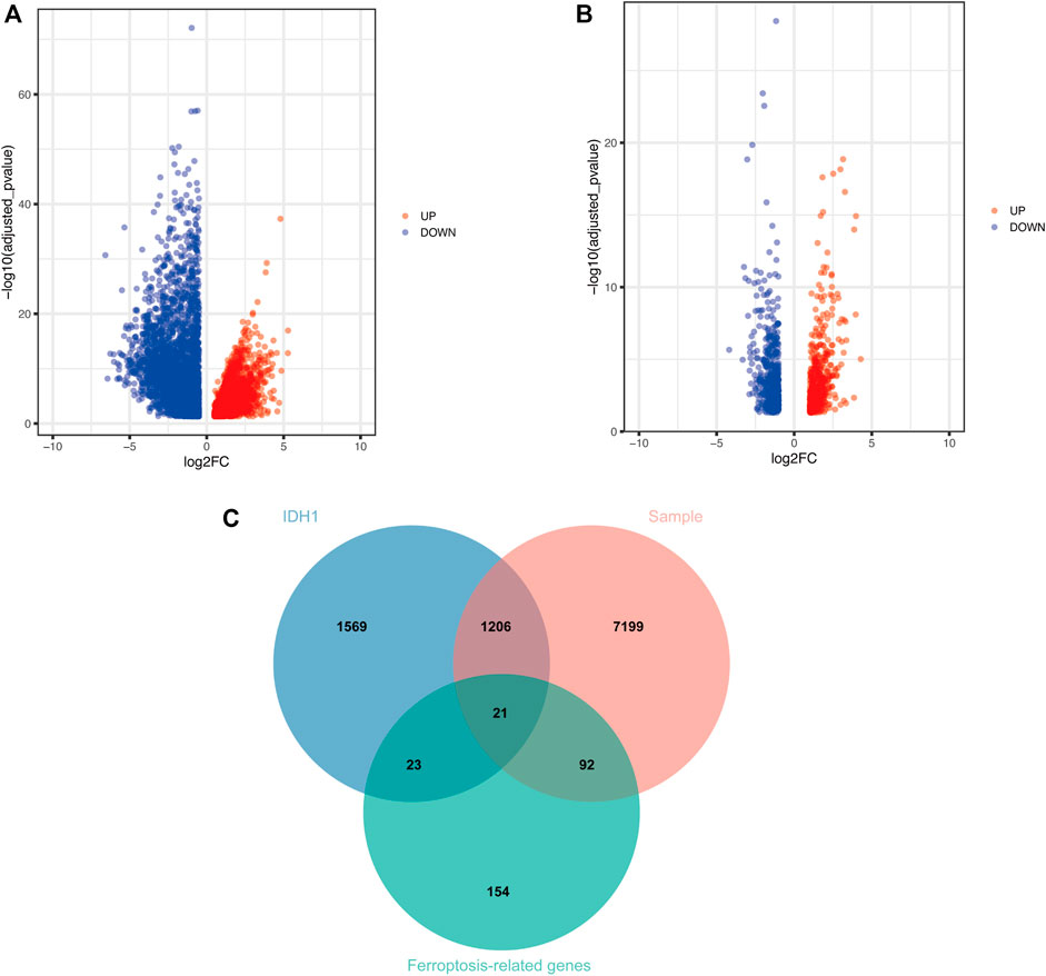 Frontiers | Modulation of Tumor Immune Microenvironment and Prognostic ...