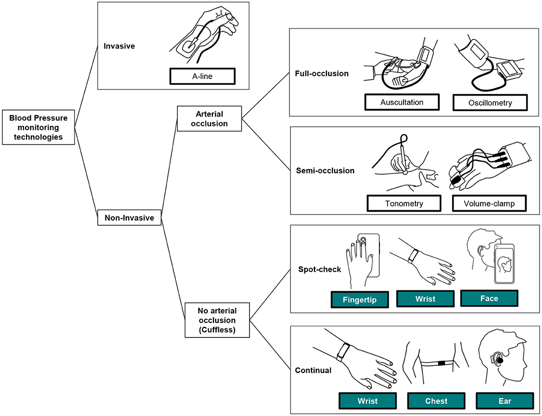 Cuffless Blood Pressure Monitors: Principles, Standards and