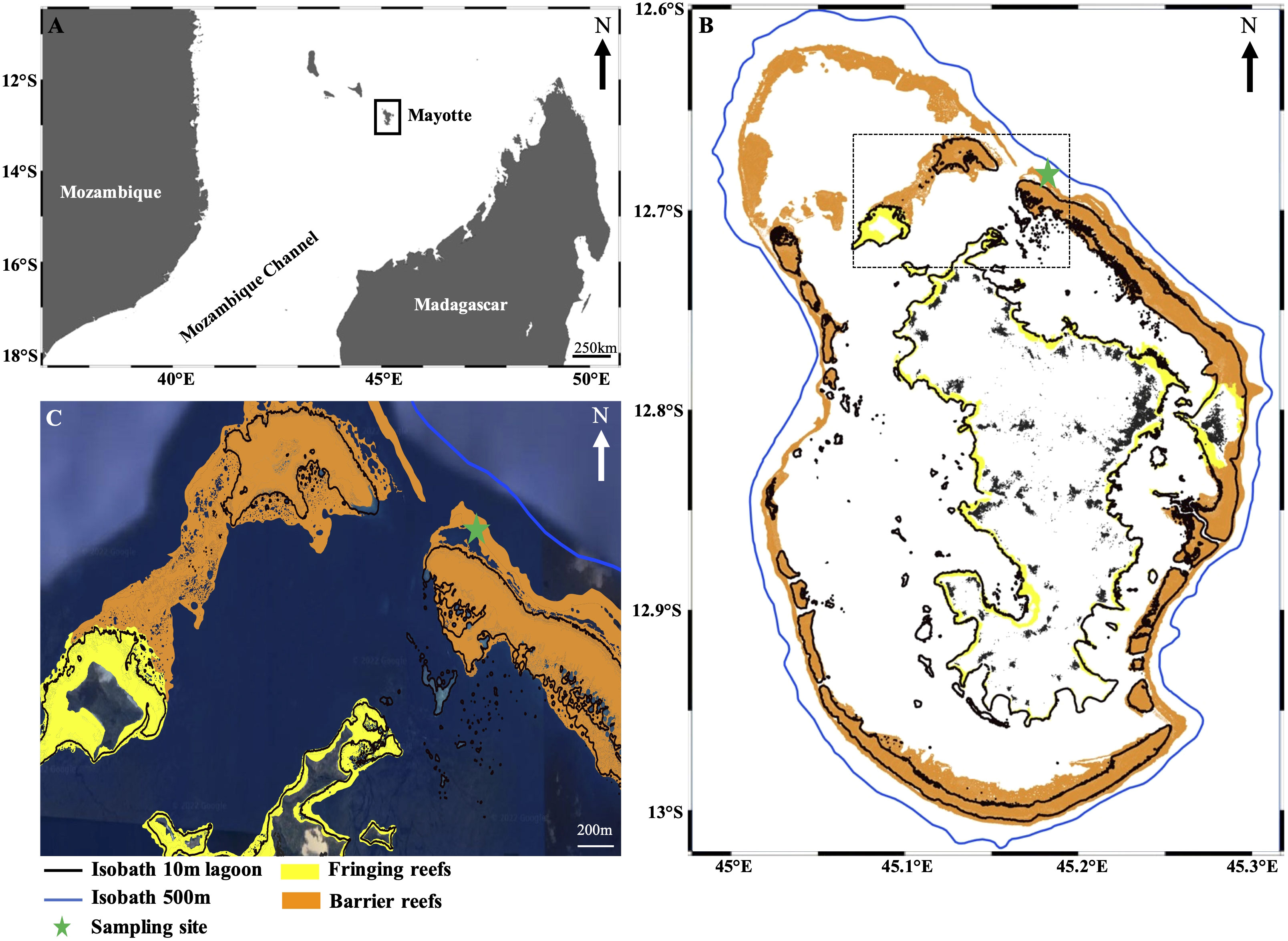 Frontiers 54 Years Of Microboring Community History Explored By 