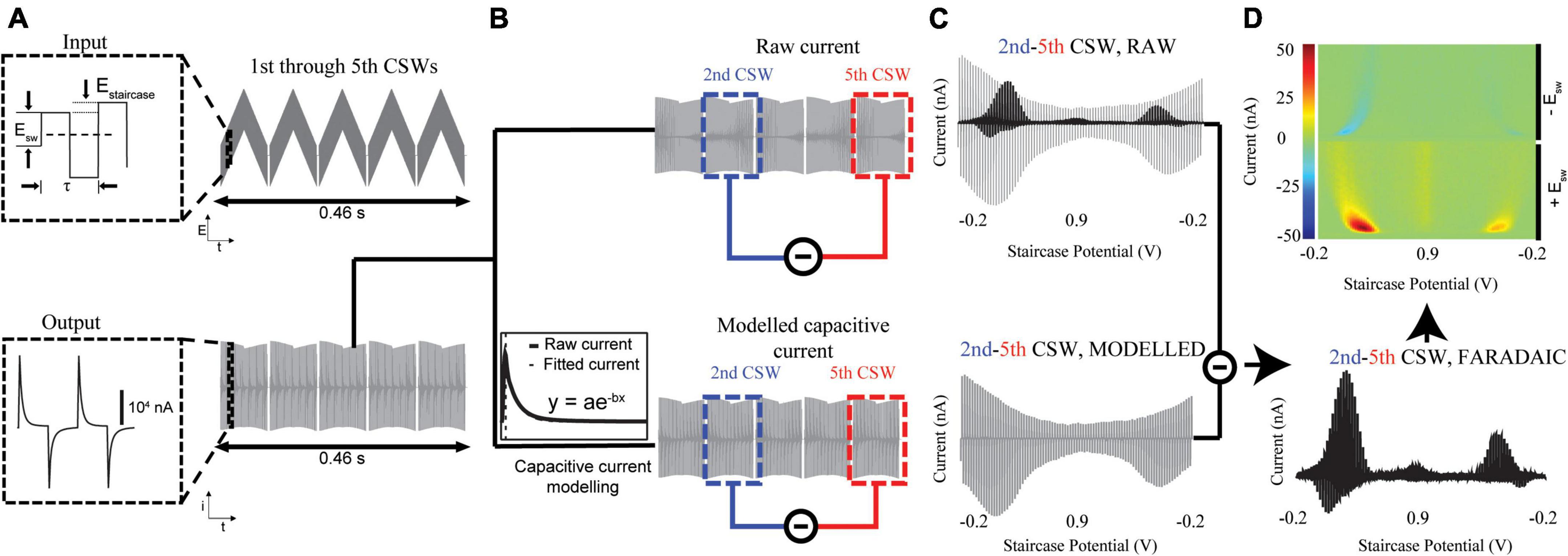 How can I measure brain acetylcholine levels in vivo? Advantages