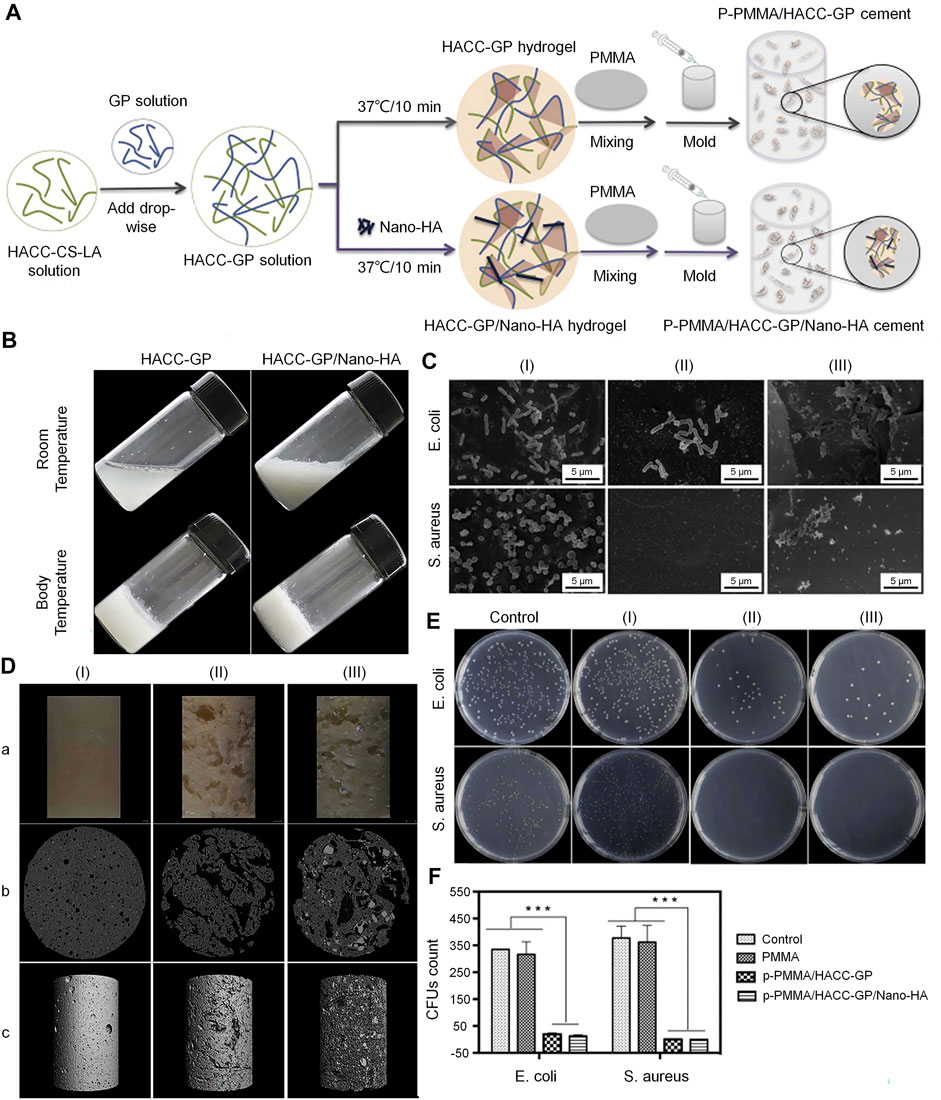 Hybrid Membranes Development Made by Chitosan and Calcium