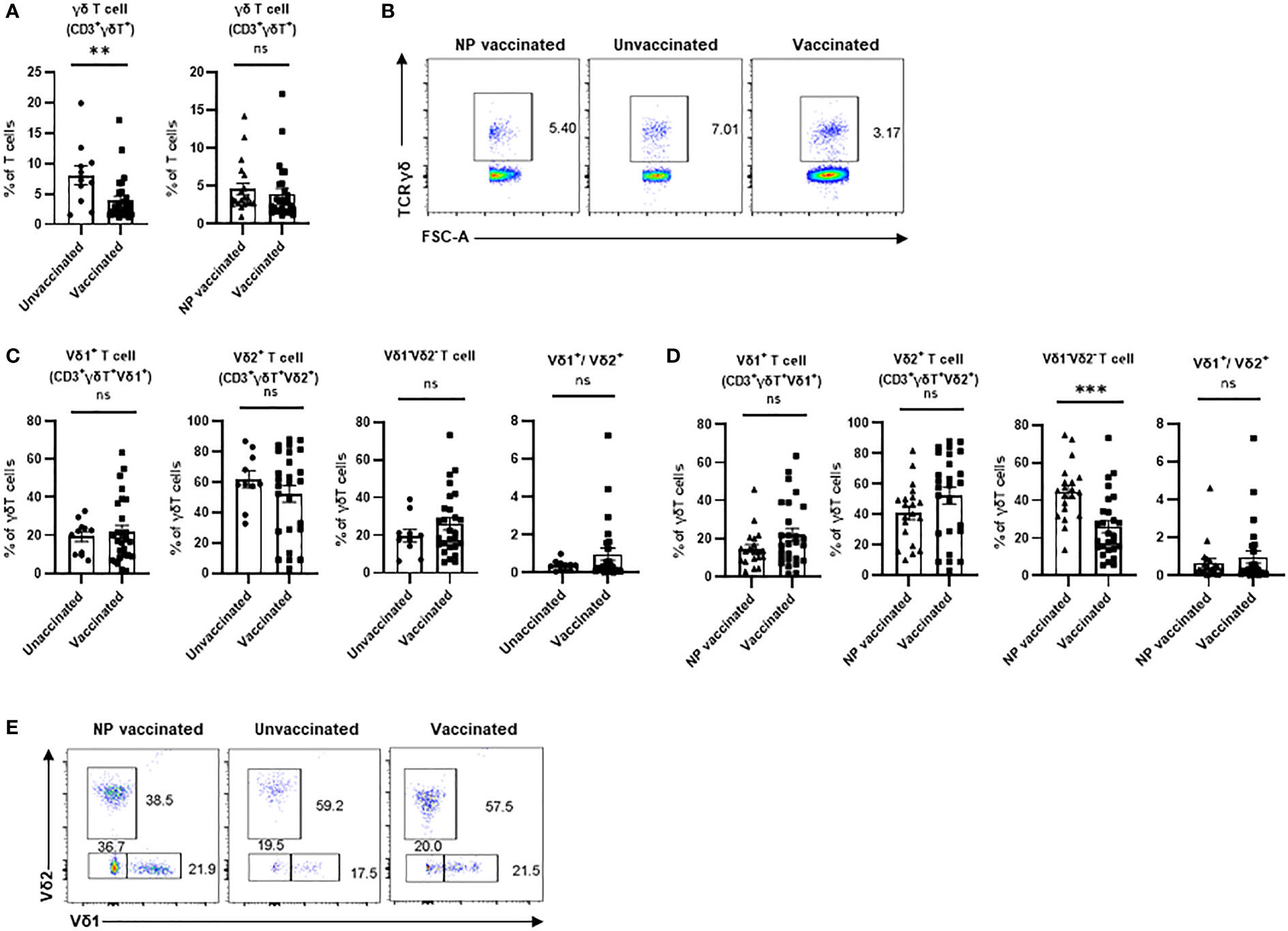 Frontiers | COVID-19 vaccination influences subtypes of γδ-T cells 