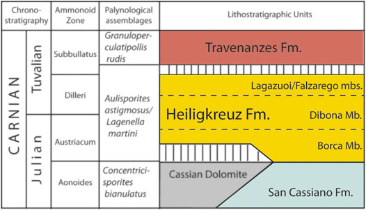 www.frontiersin.org