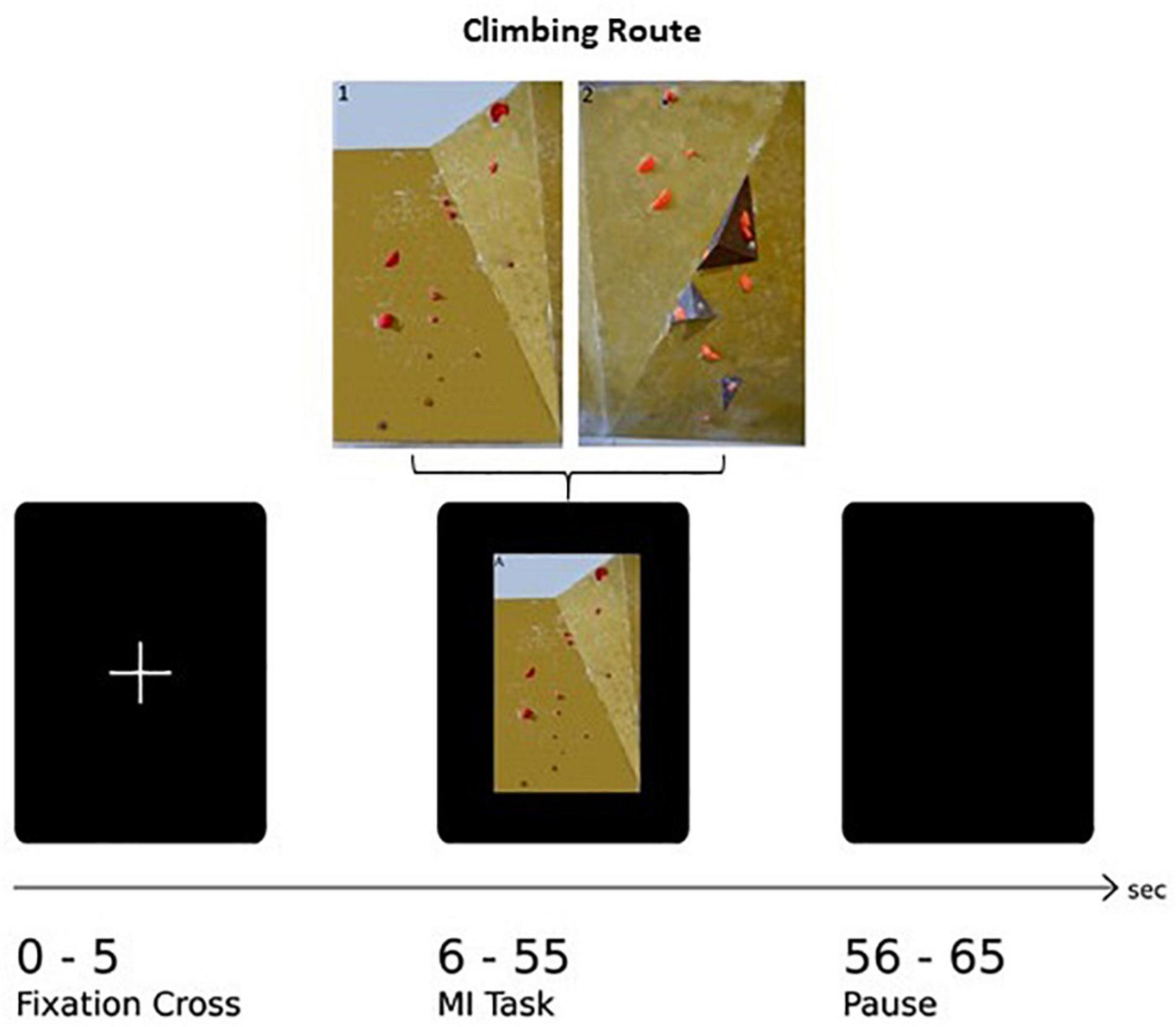 Frontiers Limb Preference and Skill Level Dependence During the Imagery of a Whole-Body Movement A Functional Near Infrared Spectroscopy Study