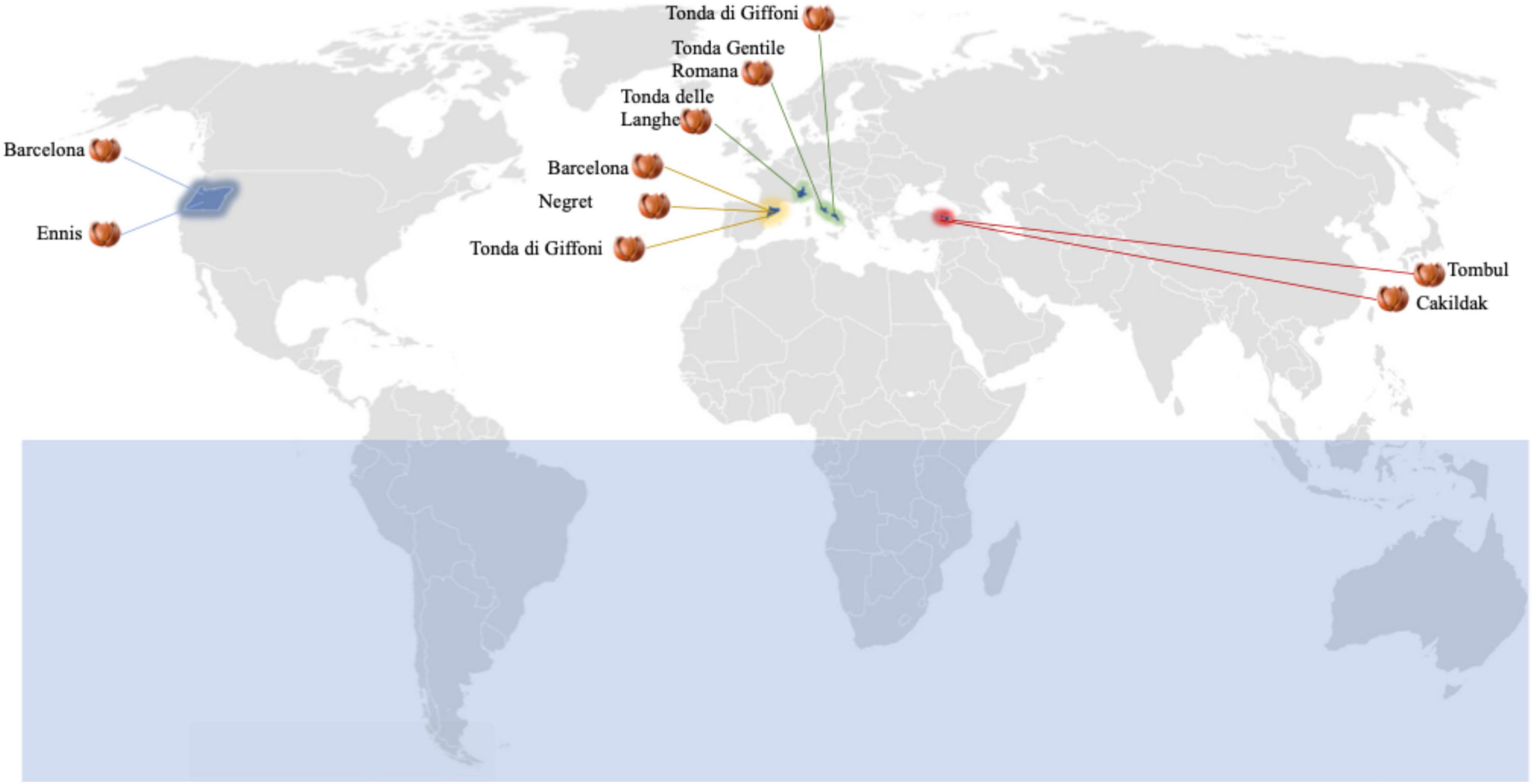 www.frontiersin.org