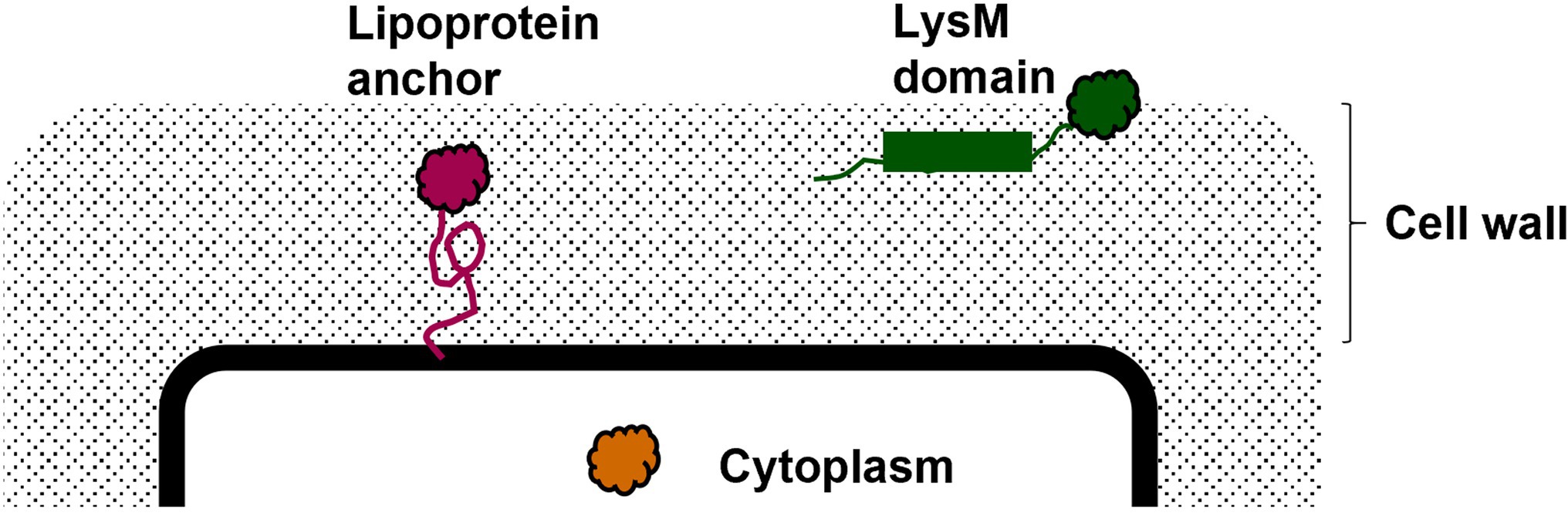 www.frontiersin.org
