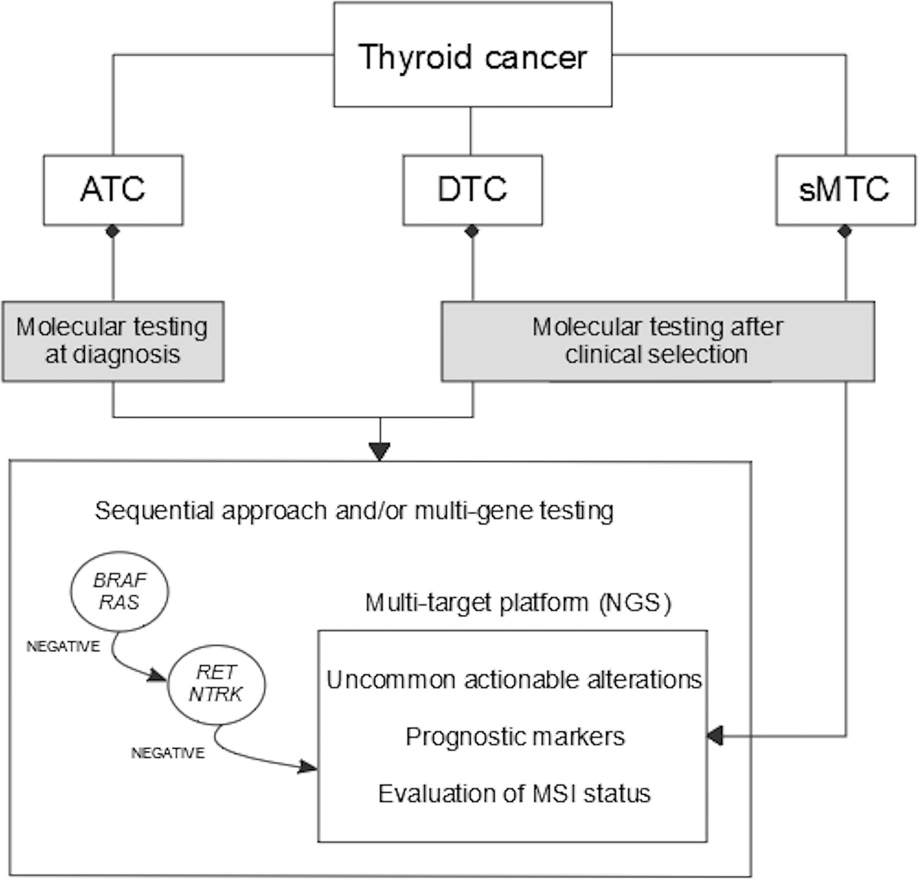 Frontiers Predictive Biomarkers In Thyroid Cancer