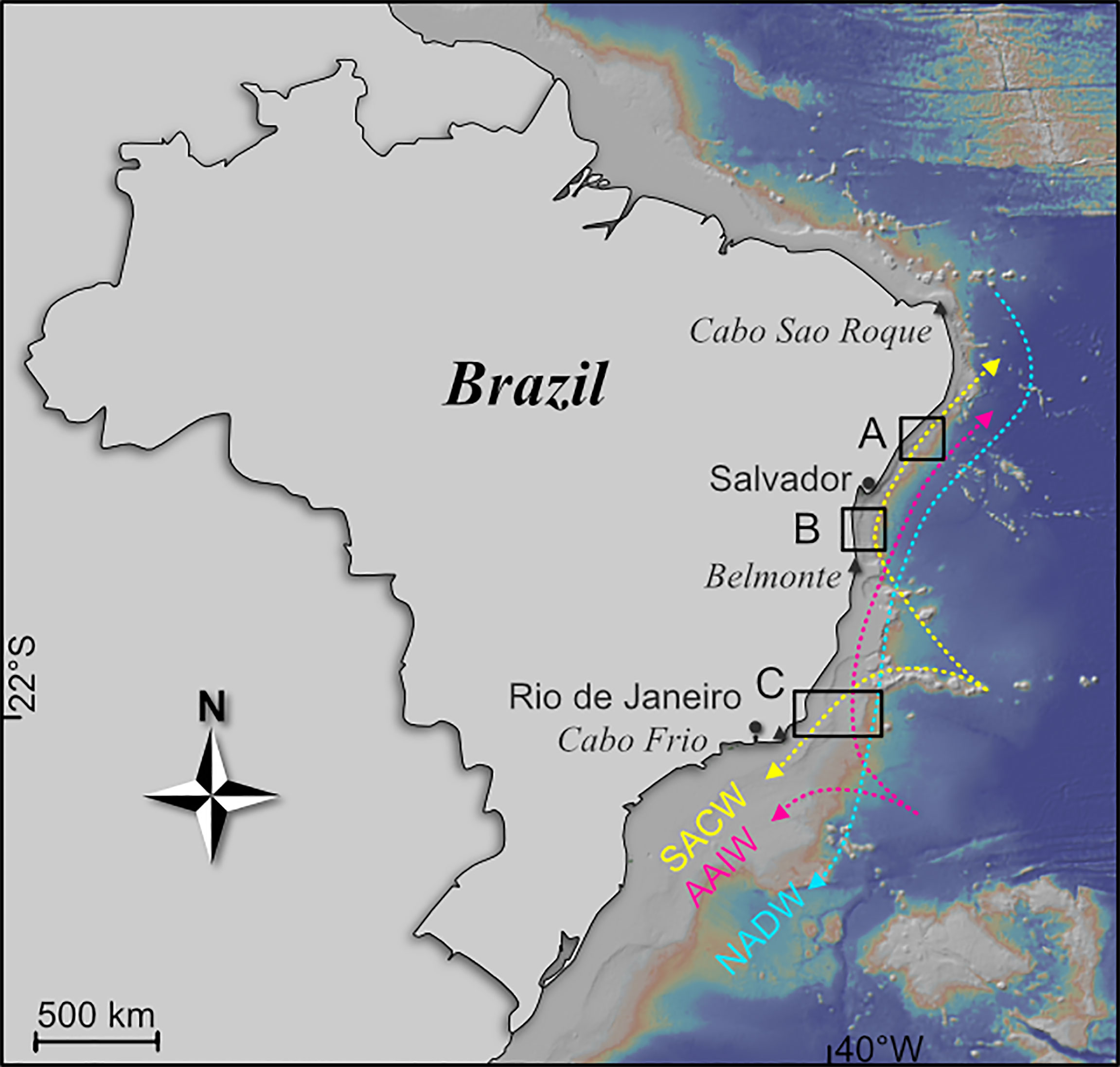 www.frontiersin.org