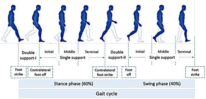 Frontiers  Present and future of gait assessment in clinical