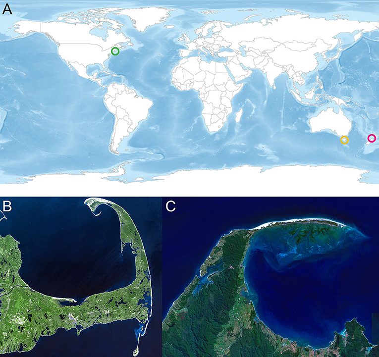 Figure 1 - (A) World map with water depth indicated by color: darker blue represents deeper water.