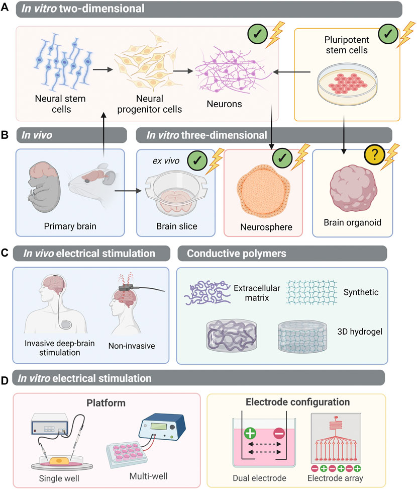 Cells, Tissues and Organs Revision Quiz by Cre8tive Resources