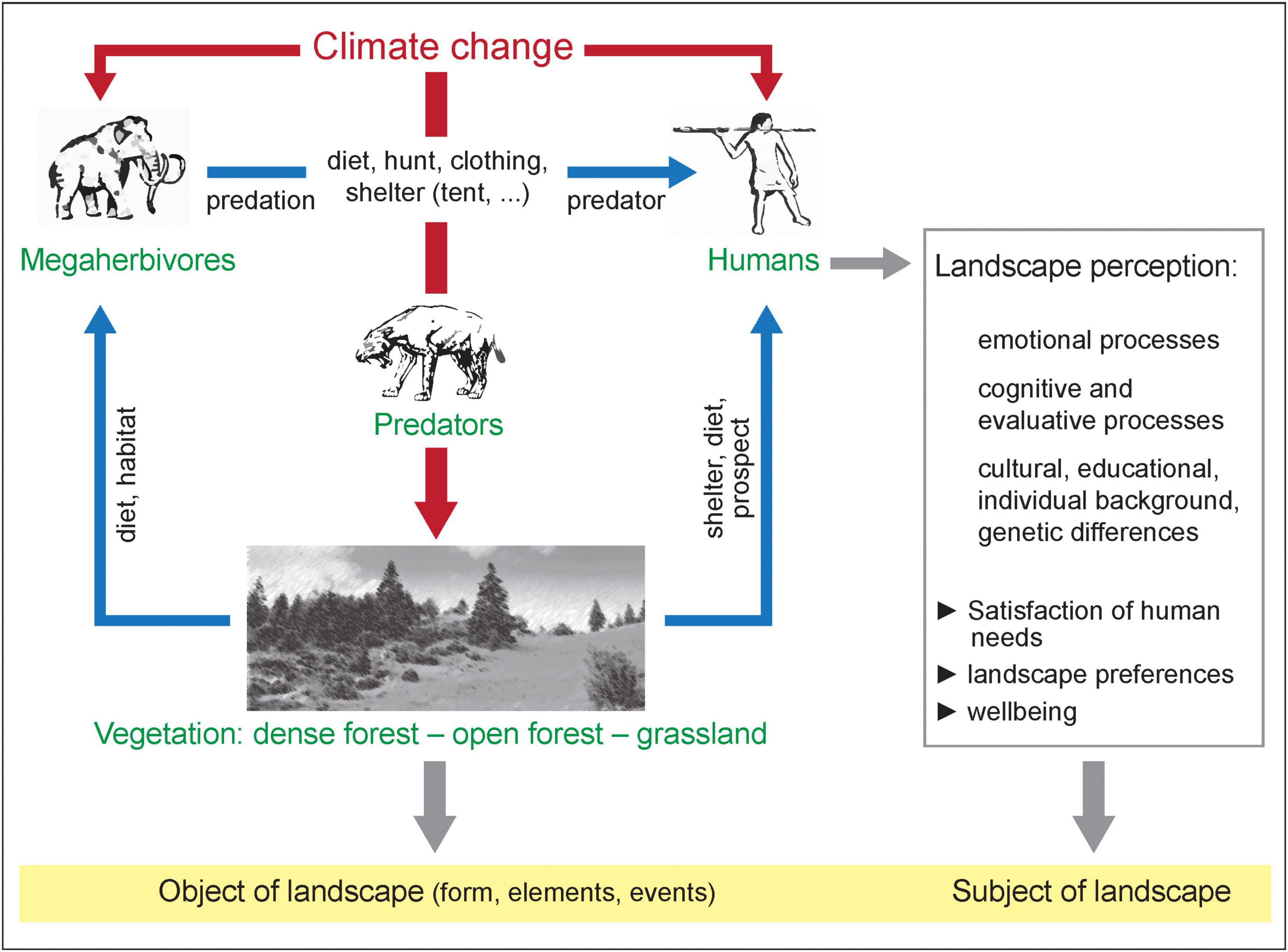 Snake scales, partial exposure, and the Snake Detection Theory: A human  event-related potentials study