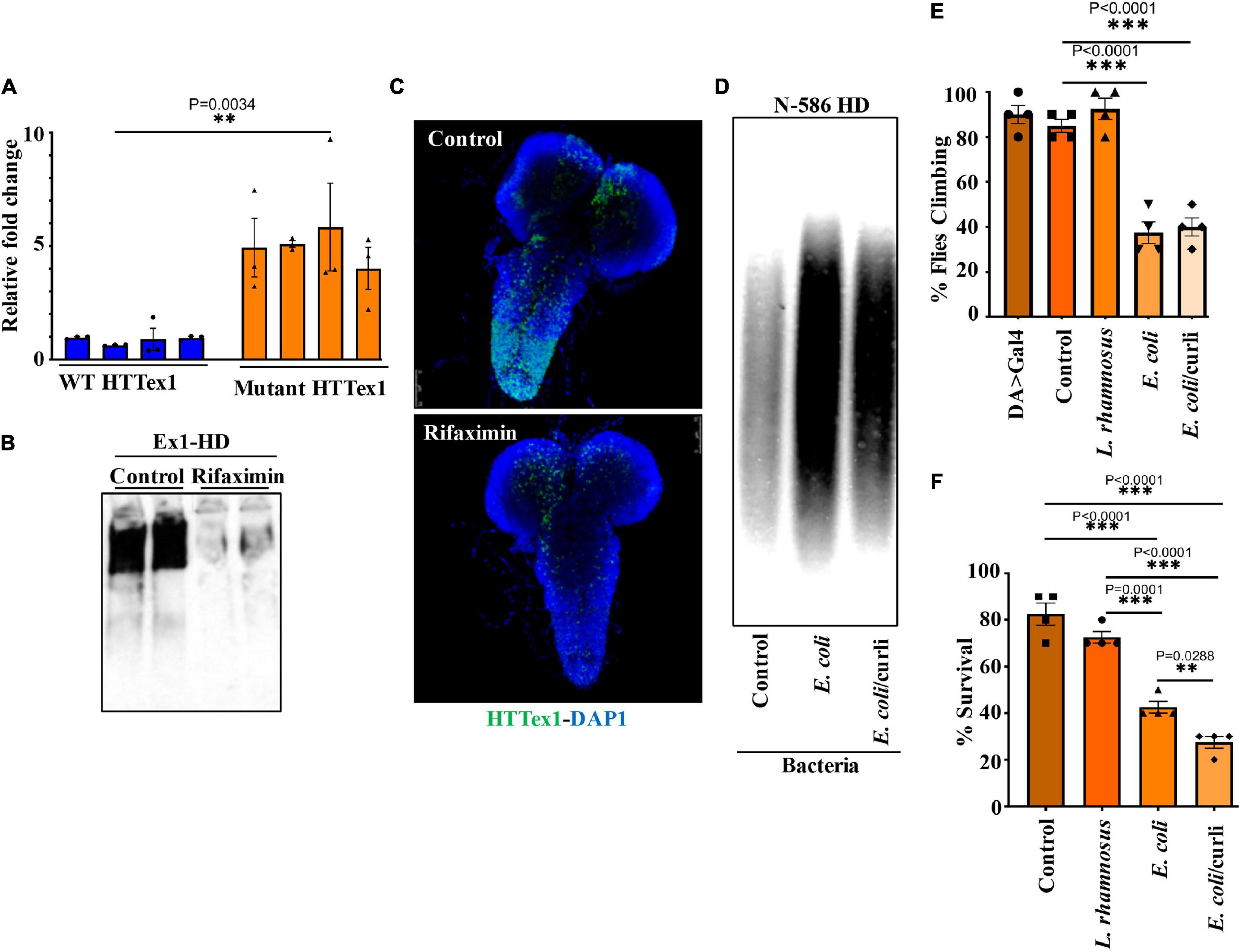 Fiber deprivation and microbiome-borne curli shift gut bacterial  populations and accelerate disease in a mouse model of Parkinson's disease  - ScienceDirect