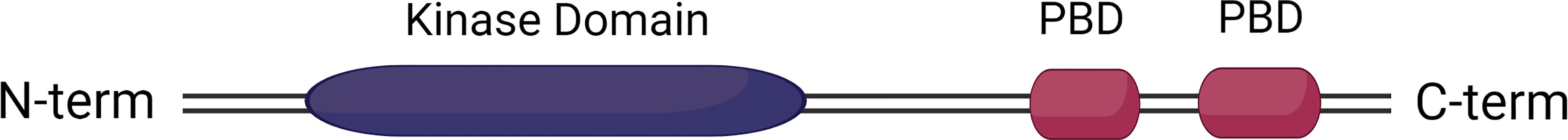 www.frontiersin.org