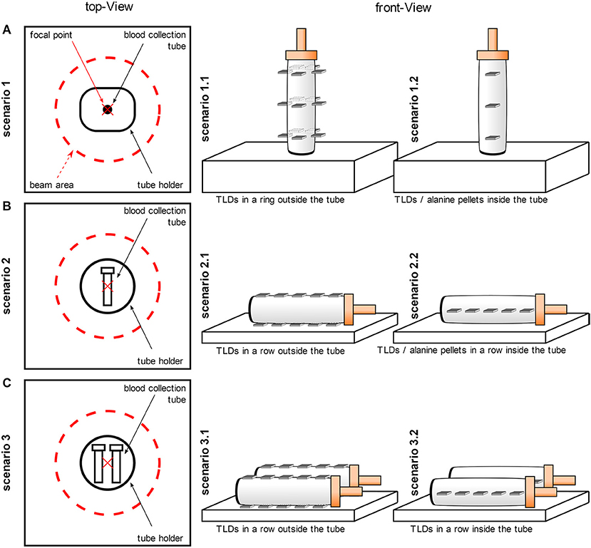 Frontiers  Dose Variations Using an X-Ray Cabinet to Establish in vitro  Dose-Response Curves for Biological Dosimetry Assays