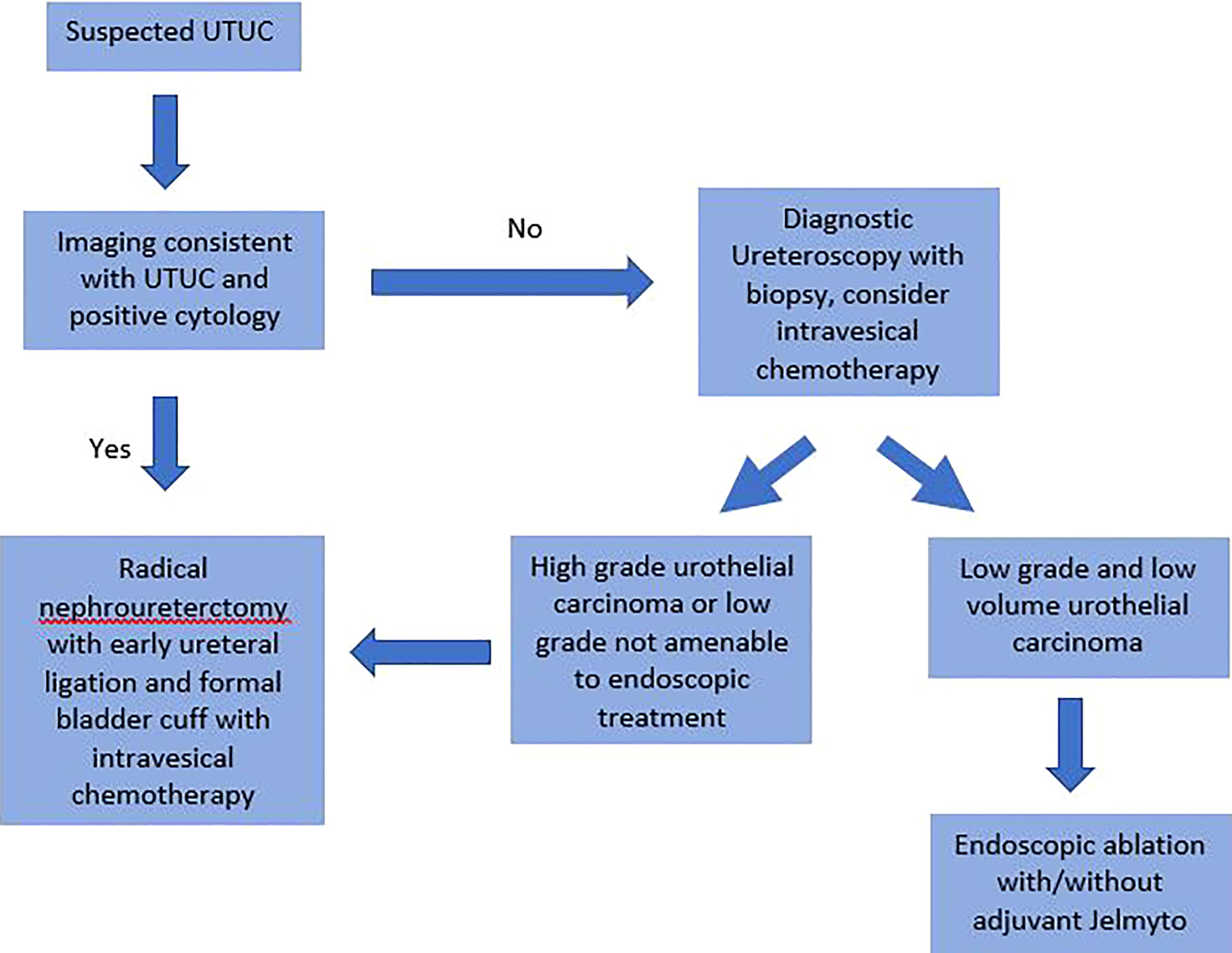 Wesley A. Mayer, MD, Recurrent Flank Pain