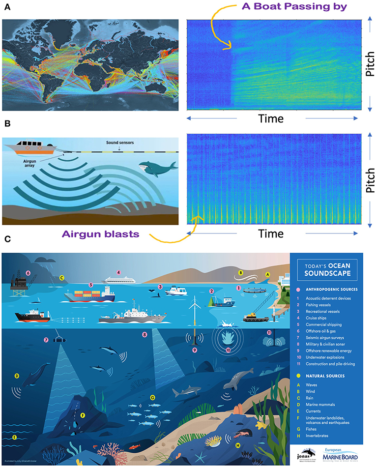 Figure 3 - (A) Map of global ship activity per day.