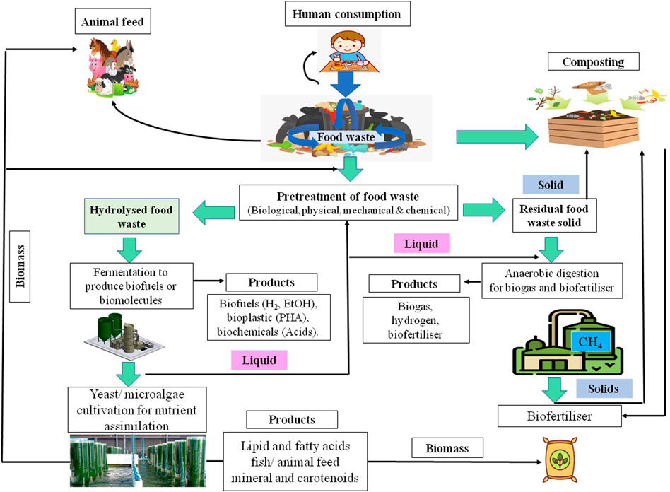 Frontiers | Food Waste Valorisation for Biogas-Based Bioenergy Production in Circular Bioeconomy: Opportunities, Challenges, and Future Developments Frontiers | Food Waste Valorisation for Biogas-Based Bioenergy Production in Circular Bioeconomy: Opportunities, Challenges, and Future Developments