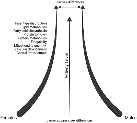 www.frontiersin.org