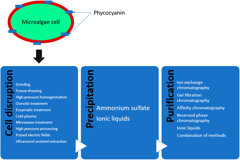 Waters Fraction Manager Analytical UPLC Scale Purification