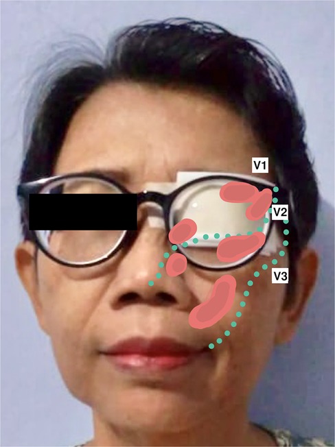 www.frontiersin.org