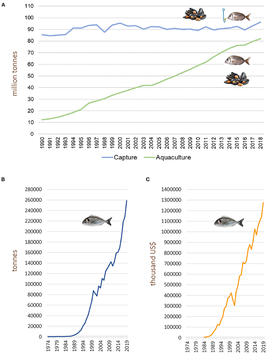 Frontiers  Vibriosis Outbreaks in Aquaculture: Addressing Environmental  and Public Health Concerns and Preventive Therapies Using Gilthead Seabream  Farming as a Model System