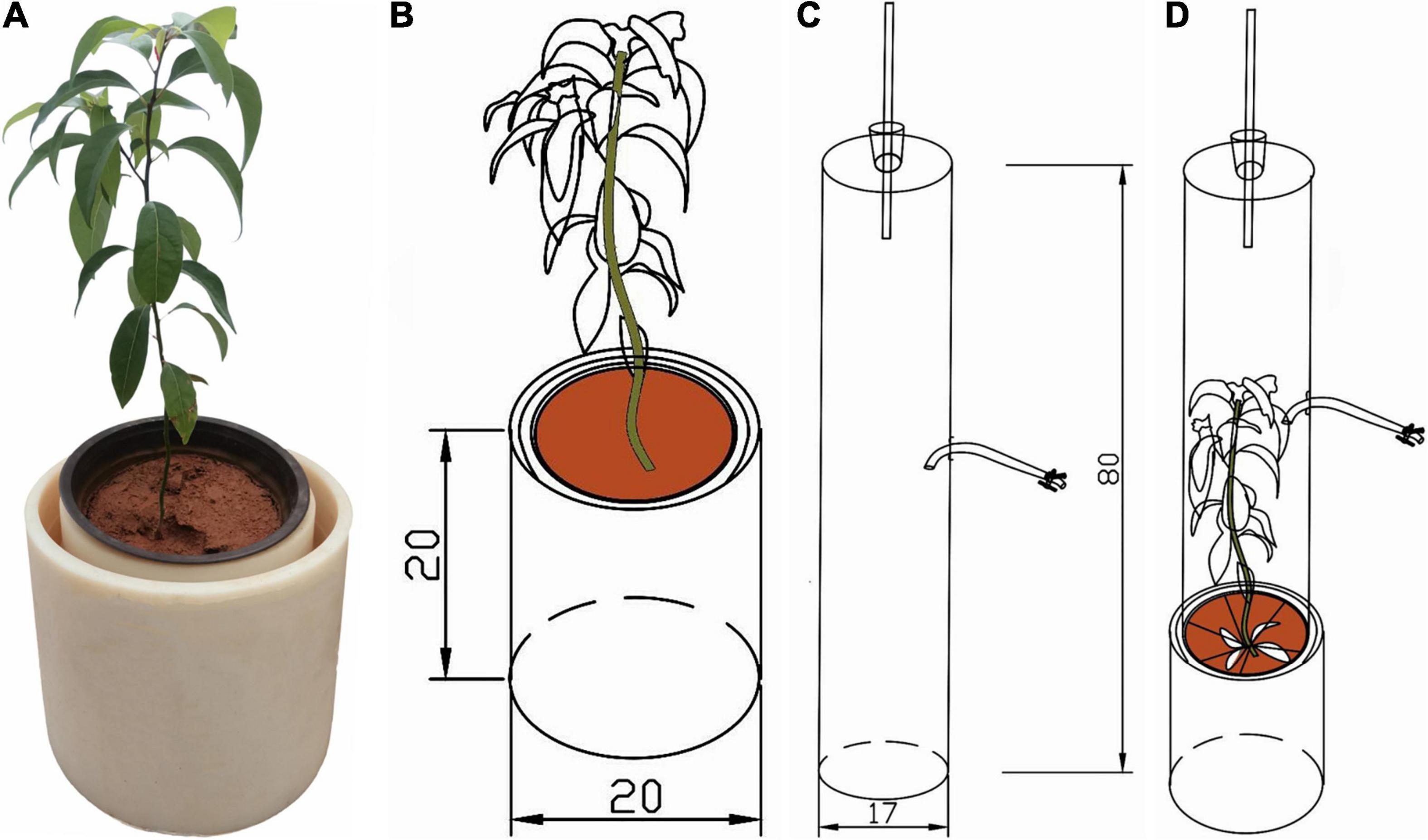 Infrared Thermometers for Monitoring Plant and Substrate